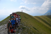 Clicca qui per vedere l'immagine in dettaglio
